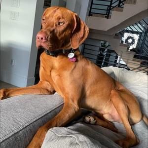 Meet your Posher, Debra